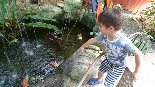 3日・沖縄観光旅行〜ガラス館、フルーツランド、琉宮城、美ら海編