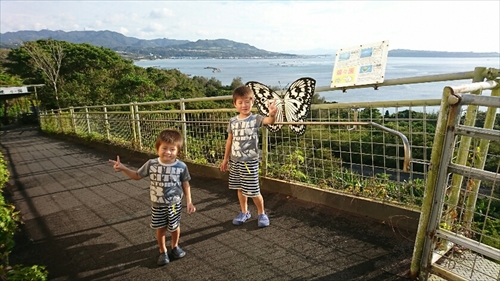 3日・沖縄観光旅行〜ガラス館、フルーツランド、琉宮城、美ら海編
