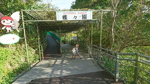 3日・沖縄観光旅行〜ガラス館、フルーツランド、琉宮城、美ら海編