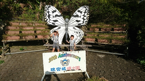 3日・沖縄観光旅行〜ガラス館、フルーツランド、琉宮城、美ら海編