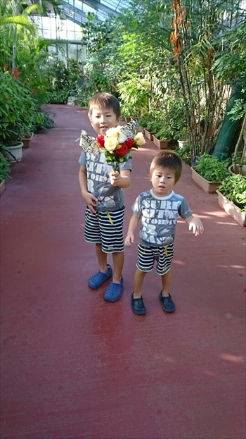 3日・沖縄観光旅行〜ガラス館、フルーツランド、琉宮城、美ら海編