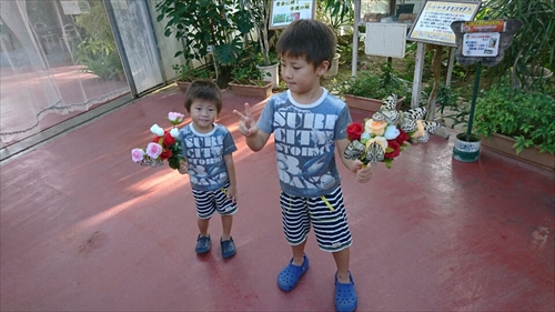 3日・沖縄観光旅行〜ガラス館、フルーツランド、琉宮城、美ら海編