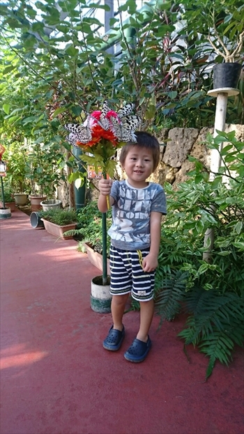 3日・沖縄観光旅行〜ガラス館、フルーツランド、琉宮城、美ら海編