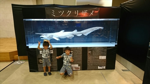 3日・沖縄観光旅行〜ガラス館、フルーツランド、琉宮城、美ら海編