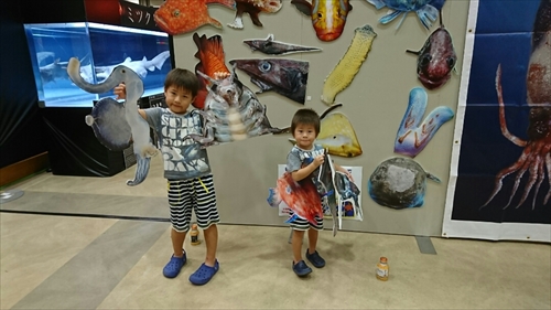 3日・沖縄観光旅行〜ガラス館、フルーツランド、琉宮城、美ら海編