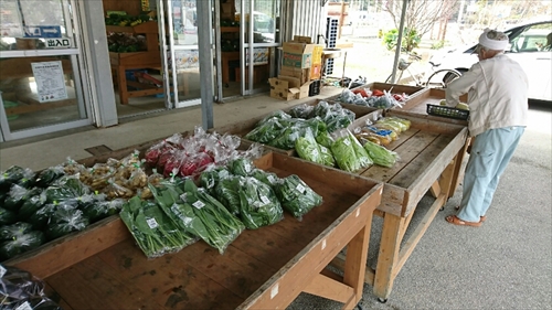 4日・沖縄観光旅行A辺戸岬、大石林山編。