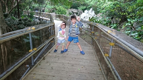 4日・沖縄観光旅行A辺戸岬、大石林山編。