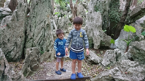 4日・沖縄観光旅行A辺戸岬、大石林山編。