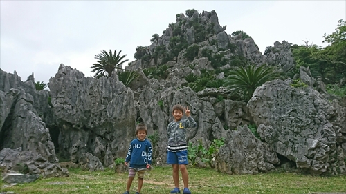 4日・沖縄観光旅行A辺戸岬、大石林山編。