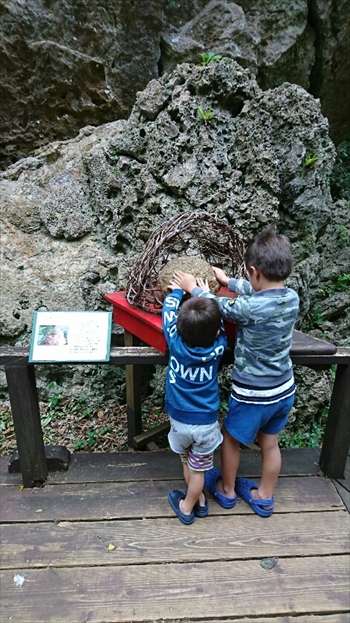 4日・沖縄観光旅行A辺戸岬、大石林山編。