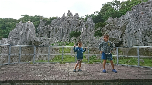 4日・沖縄観光旅行A辺戸岬、大石林山編。