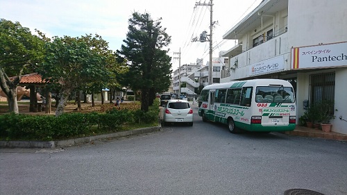 6日・猫の散歩!