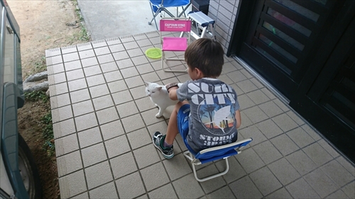 7日・初抱きニャーコ!