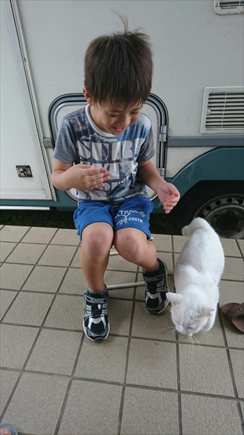 7日・初抱きニャーコ!