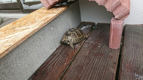 1日・久々に台風がヤバい!