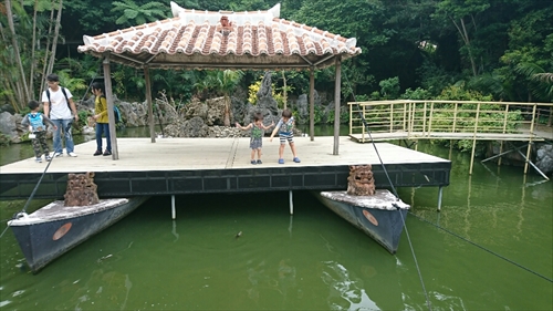 10日・琉球村で遊んで来ました!