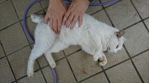 5日・ラーメンもとなり!