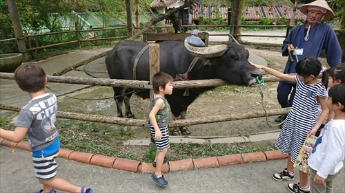 10日・琉球村で遊んで来ました!