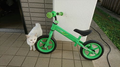 15日・買い物いろいろ。