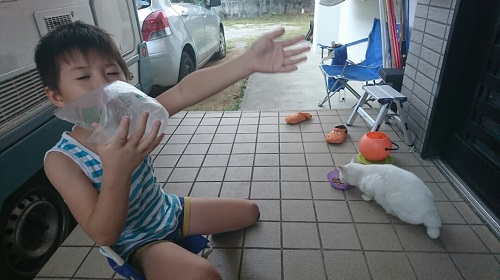 16日・沖縄も寒くなって来ました!