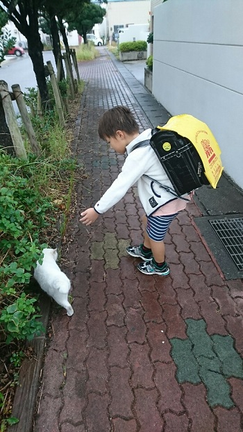 17日・次男の幼稚園の面談!