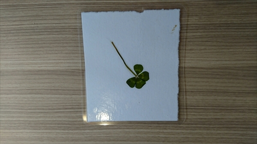 1日・ライカムからのオキナワメンチ!