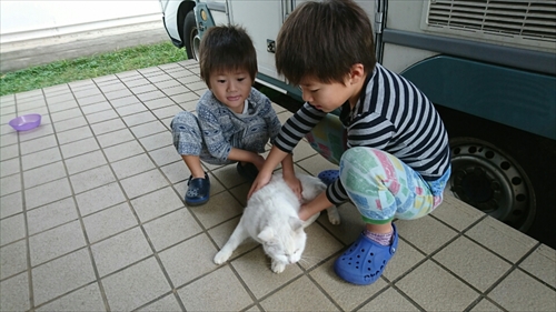 3日・レキオバトル、タイフェスに行って来ました!