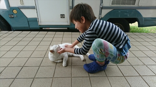 3日・レキオバトル、タイフェスに行って来ました!