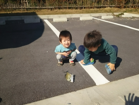 31日・家族4人で釣りキャンプ!