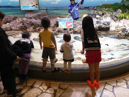 6日・雨の美ら海水族館!