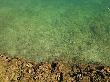 9日・砂辺のリーフで釣り!