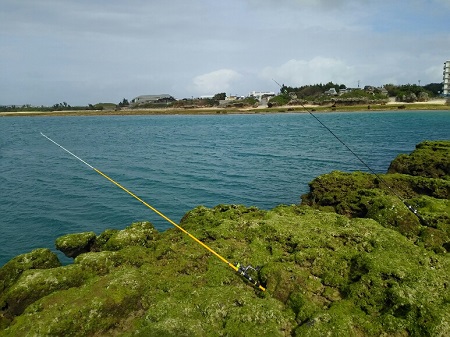 13日・ヒメジを釣りました!