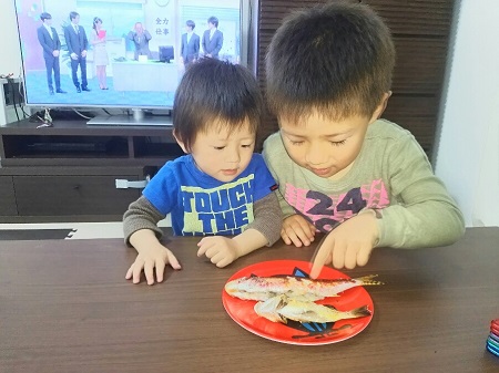 13日・ヒメジを釣りました!