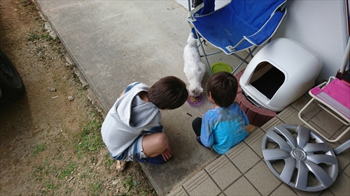 16日・プールとケーキと。