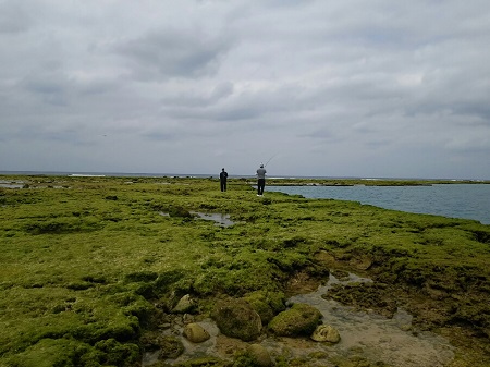 22日・ベラを釣りました!