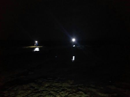 23日・シガヤーダコをゲット!