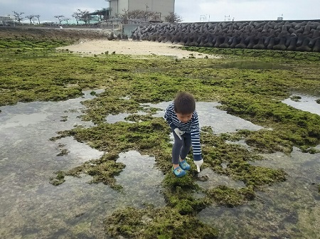 27日・長男とタコ獲りに!