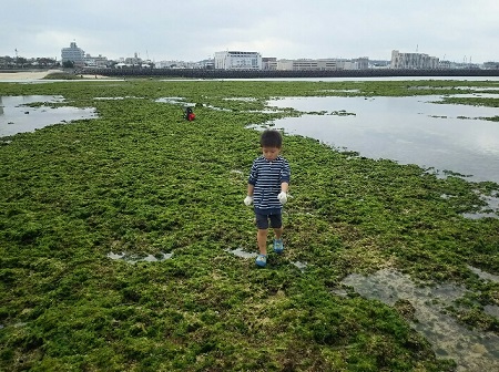 27日・長男とタコ獲りに!