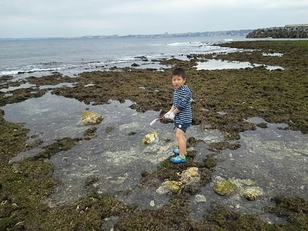 27日・長男とタコ獲りに!