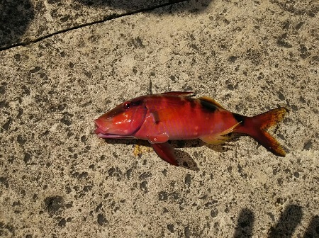 2日・浜屋そばの近くにて!