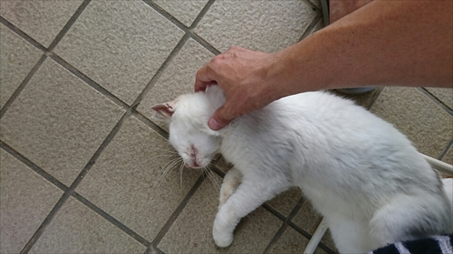 3日・キャンカーのオイル交換と打ち合わせ2件!