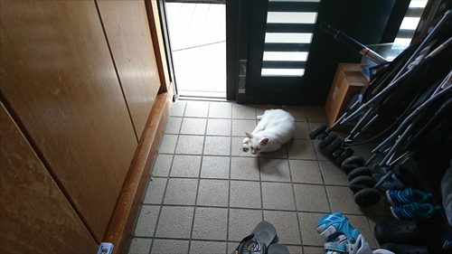 4日・夏休みこども自由研究 in 沖縄コンベンションセンター2018