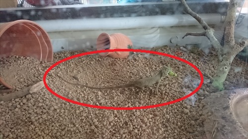 14日・北谷のサンセットビーチ!