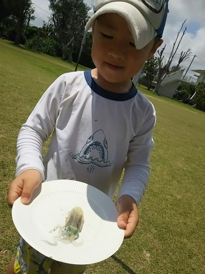 6日・屋我地島でビーチキャンプ!