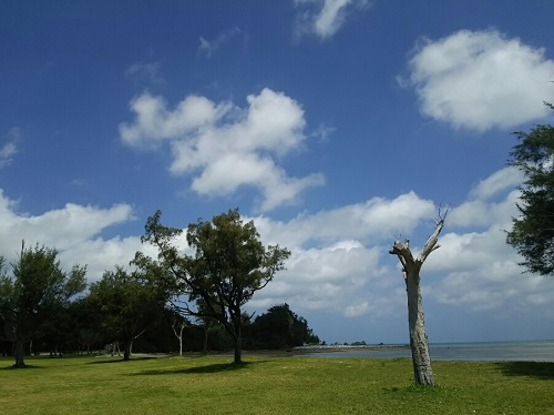 7日・屋我地島からの海、そして海!