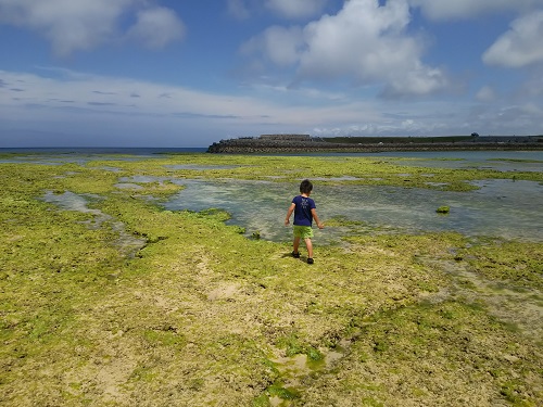 8日・ポンプを直しに行きました!