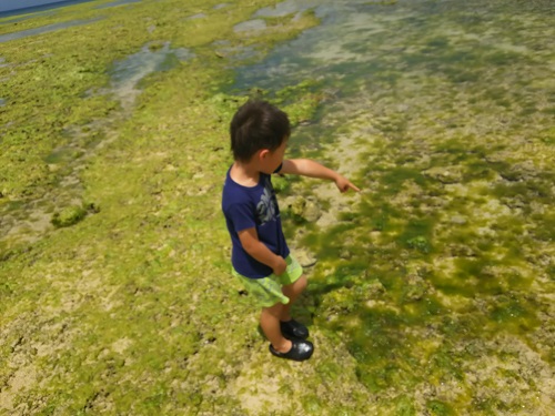 8日・ポンプを直しに行きました!