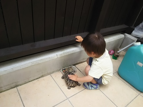 8日・ポンプを直しに行きました!