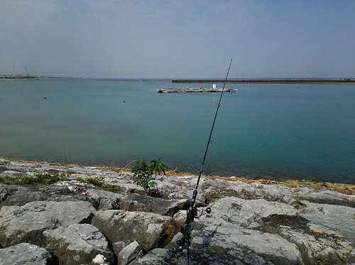 15日・釣りからのー家庭訪問