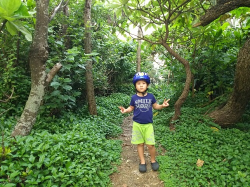 16日・50戦無敗の男!